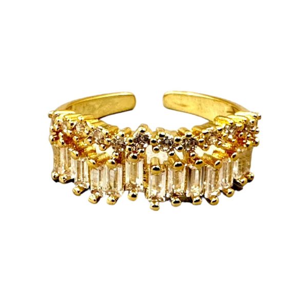 Anillo doble línea Zirconias ✨