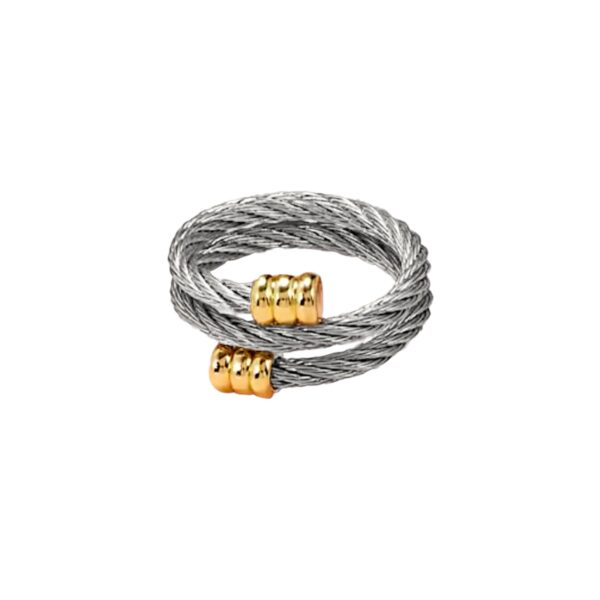 Anillo bicolor enredado